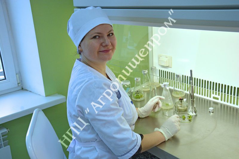Лаборант исследователь Оксана Александровна Сироткина.