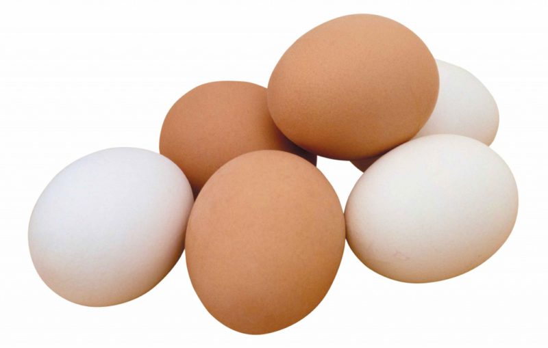 Зачем нужны пастеризованные яйца и как их делают? Технические условия на уникальный продукт