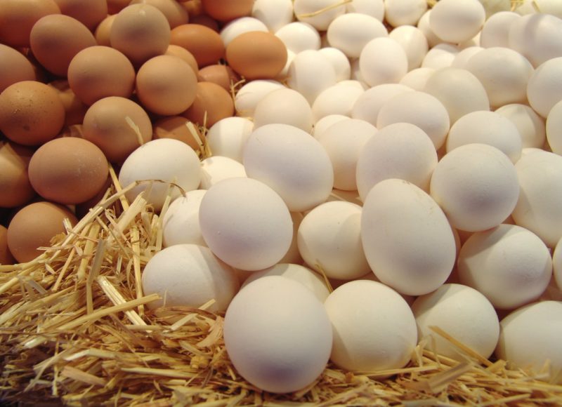11 октября - Всемирный день яйца
