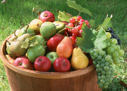 Генетическая коллекция плодовых, ягодных и декоративных садовых культур
