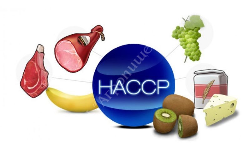 ХАССП (HACCP) – это безопасность для потребителей и стабильность для производителей продукции