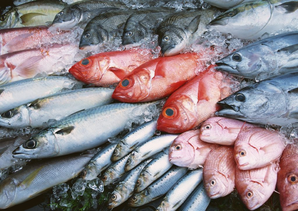 Российская рыбная промышленность готова к импортозамещению