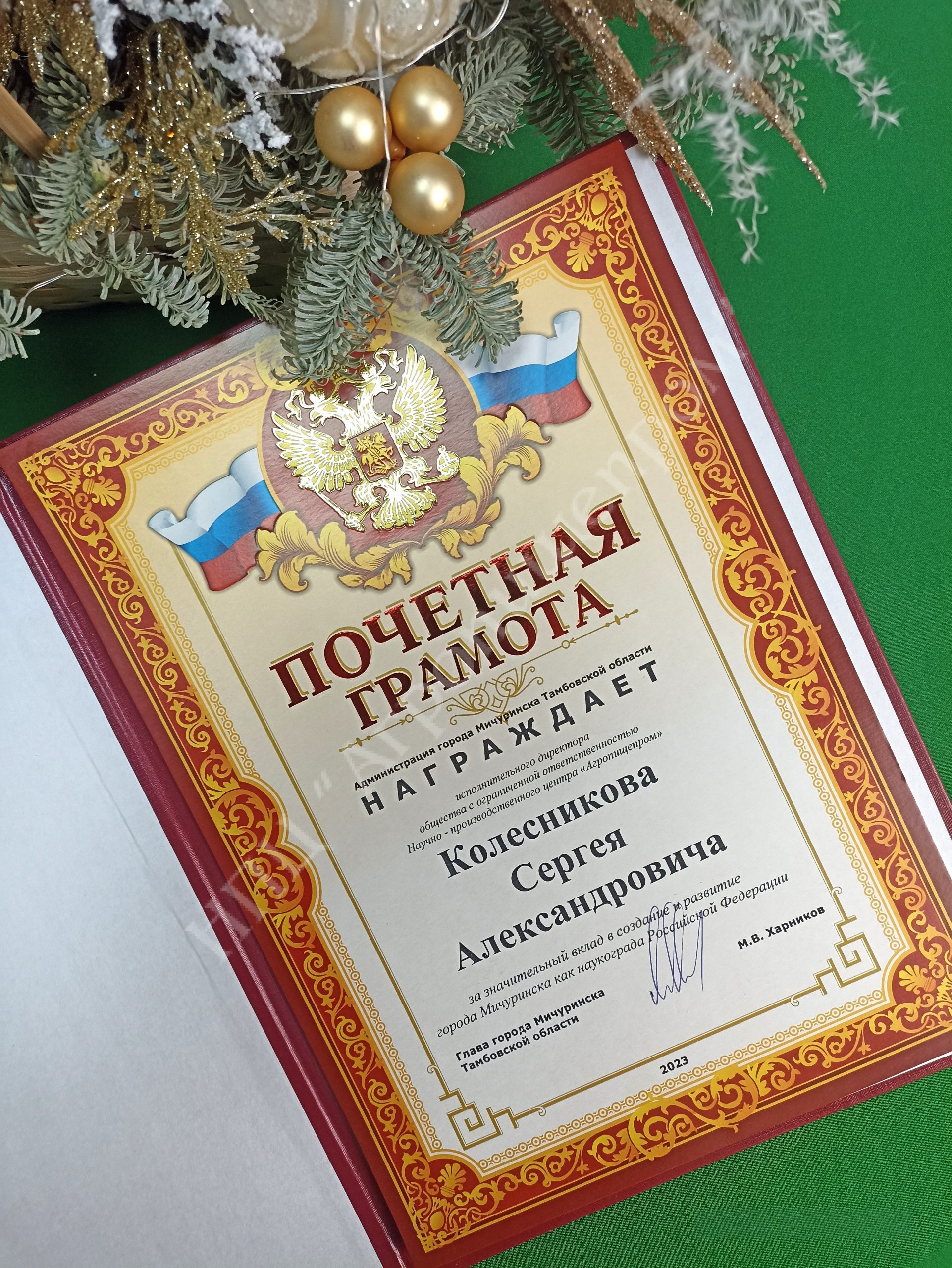 Директору НИЦ Садоводства имени И.В. Мичурина НПЦ "АГРОПИЩЕПРОМ" Брыксину Д.М. вручили Почетную грамоту за вклад в создание и развитие Мичуринска как наукограда РФ