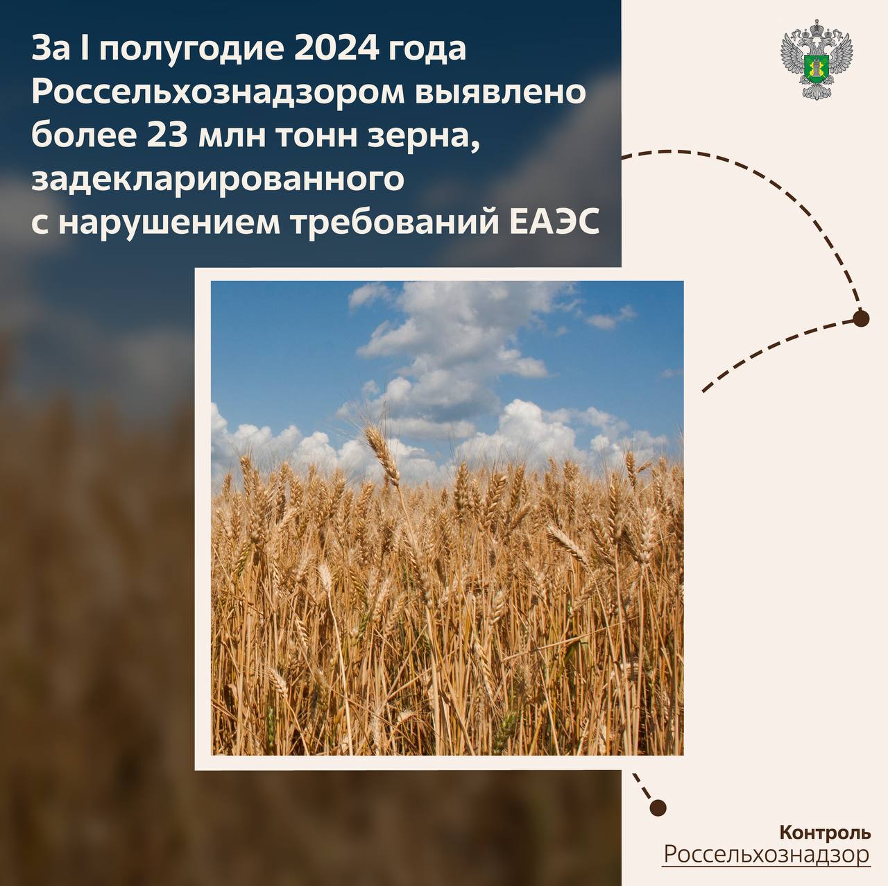 За I полугодие 2024 года Россельхознадзором выявлено более 23 млн тонн зерна, задекларированного с нарушениями требований ЕАЭС