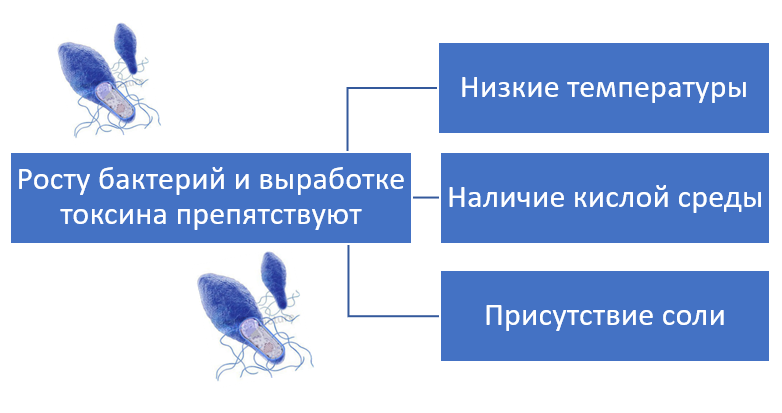 ВОЗБУДИТЕЛЬ БОТУЛИЗМА И ПИЩЕВОЕ ПРОИЗВОДСТВО