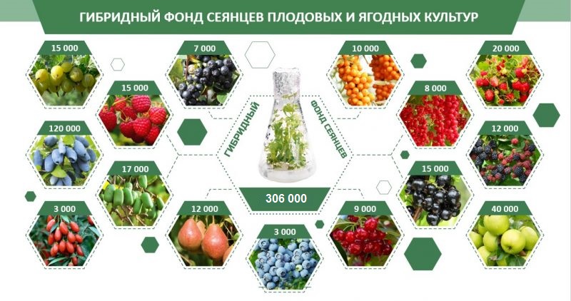 Всероссийская конференция Союза развития наукоградов России прошла в Мичуринске-наукограде. НПЦ «Агропищепром» — Лидер в области научно-технических разработок для АПК РФ.