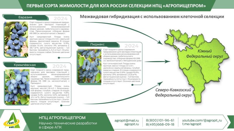 Специалисты НПЦ «Агропищепром» приняли участие в XIX международной научно-практической конференции «Интенсивное садоводство России XXI века, итоги развития, проблемы и перспективы»