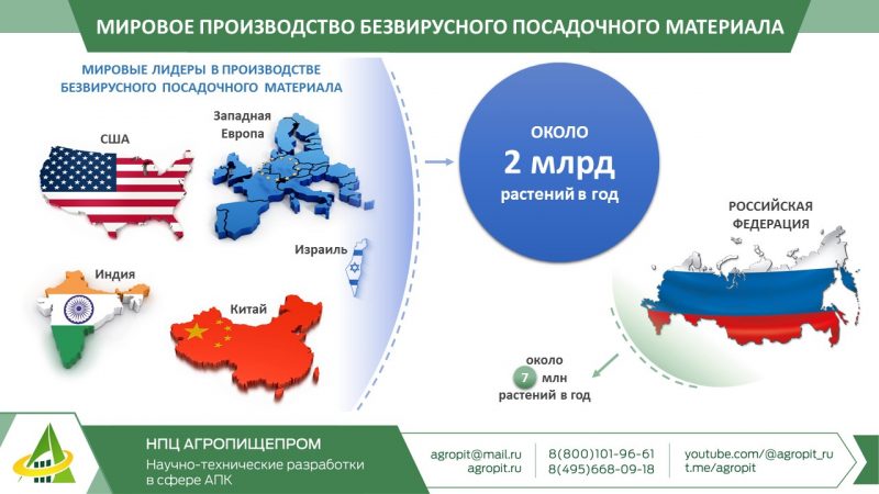 Специалисты НПЦ «Агропищепром» приняли участие в XIX международной научно-практической конференции «Интенсивное садоводство России XXI века, итоги развития, проблемы и перспективы»