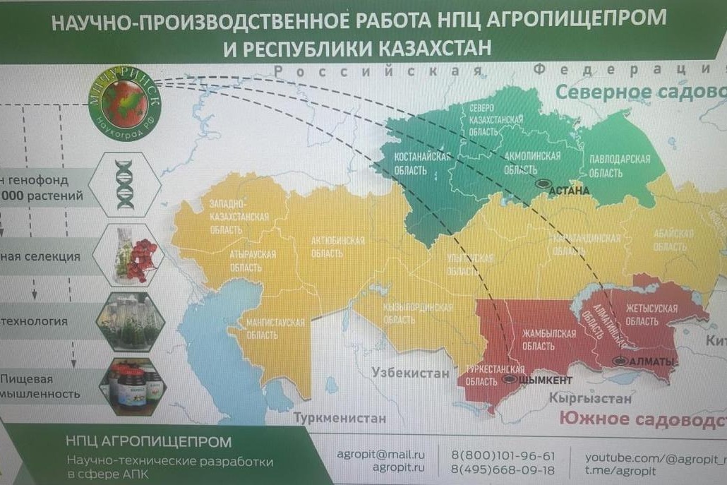 СМИ о нас
