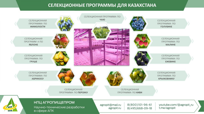 НПЦ АГРОПИЩЕПРОМ СОВМЕСТНО С РОССИЙСКОЙ АКАДЕМИЕЙ НАУК РЕАЛИЗУЕТ АГРОПРОЕКТЫ В РЕСПУБЛИКЕ КАЗАХСТАН