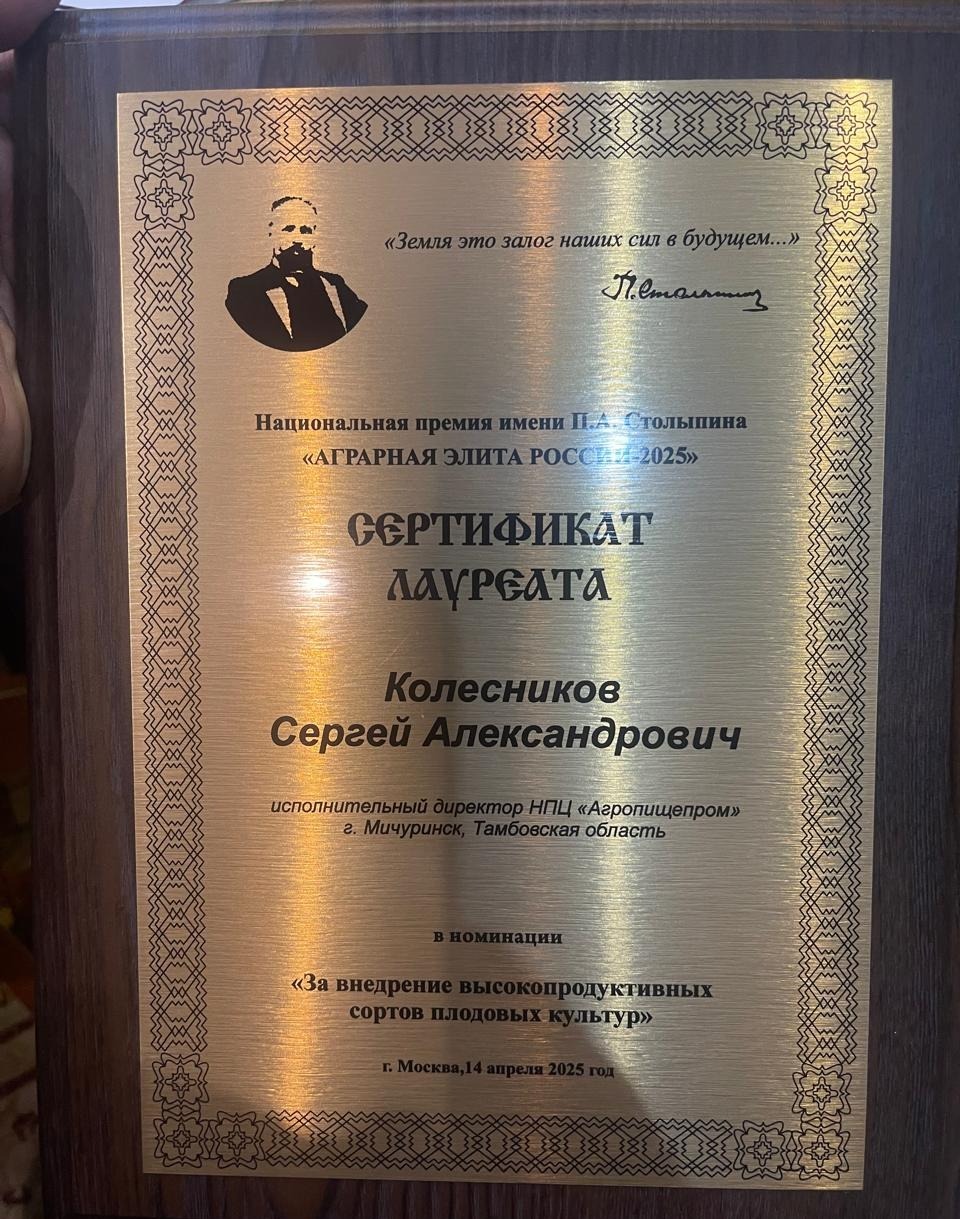 СМИ о нас