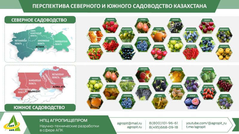 СМИ о нас