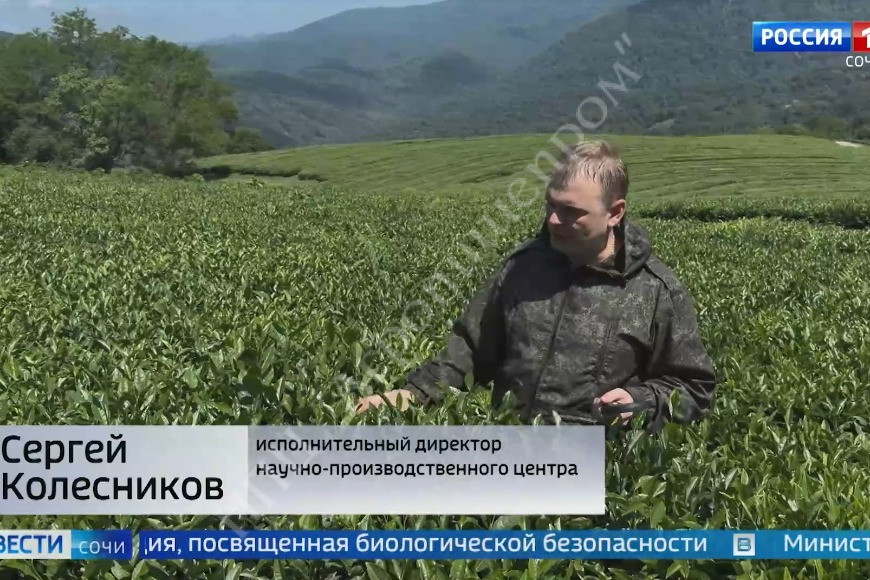 СМИ о нас