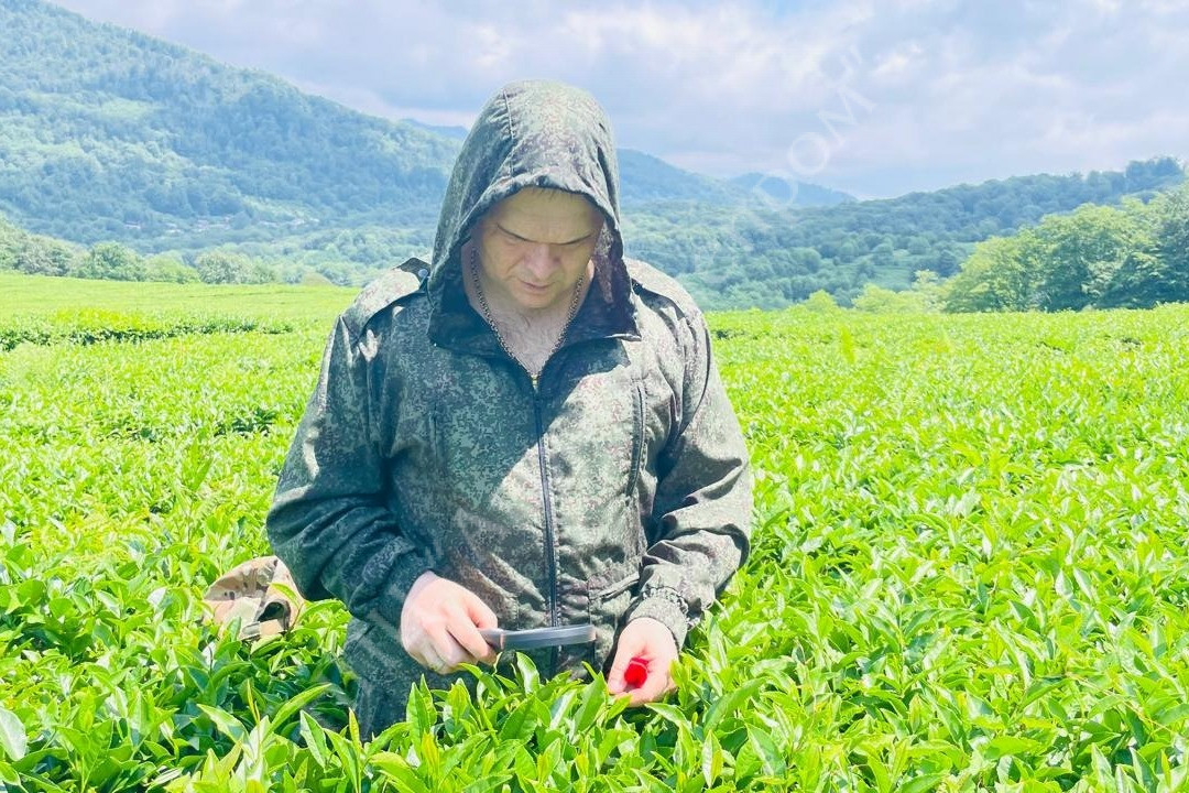 СМИ о нас