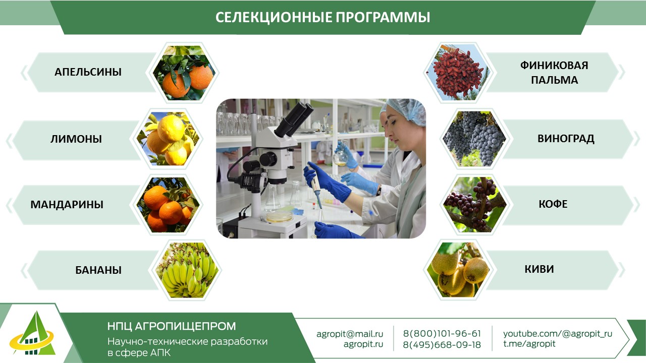 Султанат Омана: конструктивная политика и пищевая безопасность