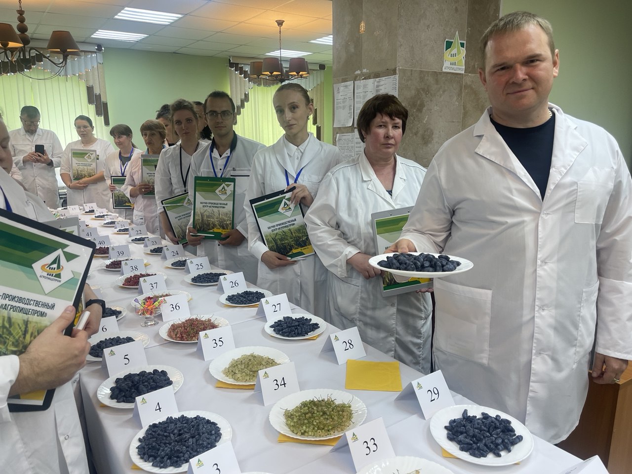 ДЕГУСТАЦИЯ НОВЫХ МЕЖВИДОВЫХ ГИБРИДОВ ЖИМОЛОСТИ СЕЛЕКЦИИ НПЦ АГРОПИЩЕПРОМ