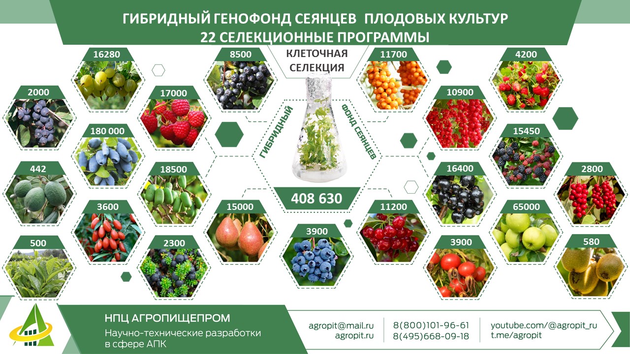 ИСПОЛНИТЕЛЬНЫЙ ДИРЕКТОР СЕРГЕЙ КОЛЕСНИКОВ НАГРАЖДЕН ПОЧЕТНОЙ ГРАМОТОЙ ОТ ГОСУДАРСТВЕННОЙ ДУМЫ РФ