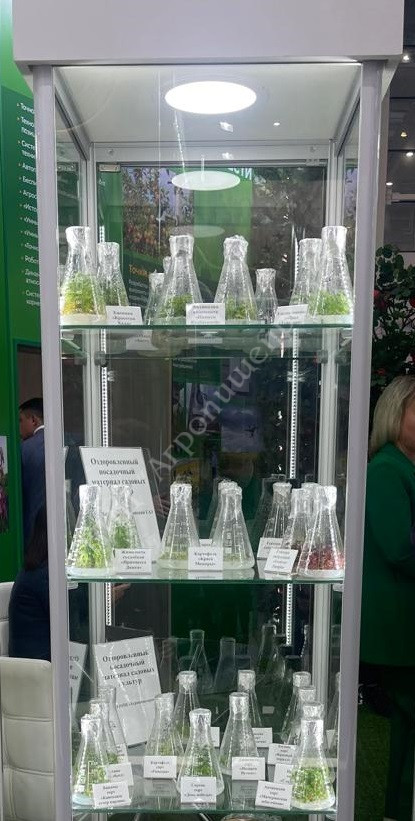 НПЦ "Агропищепром" презентовал инновационные разработки на выставке «Золотая осень – 2025»
